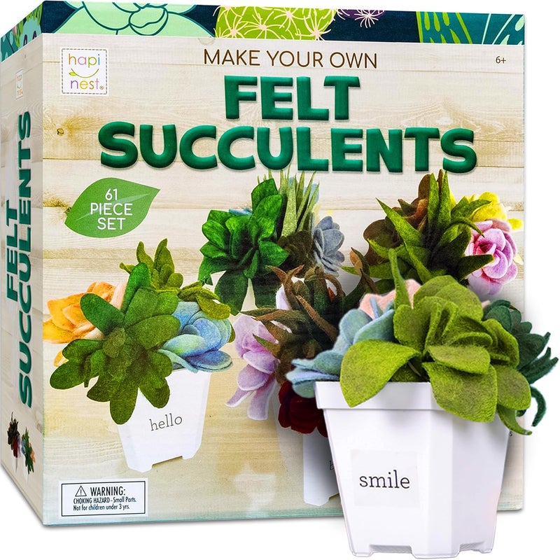 Hapinest DIY Potted Felt Succulents Craft Kit for Adults Women Teens and Seniors, Arts & Crafts for Ages 6 Years and Up - Image 1